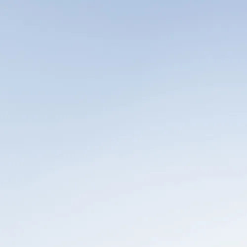grid_item
