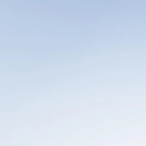 grid_item
