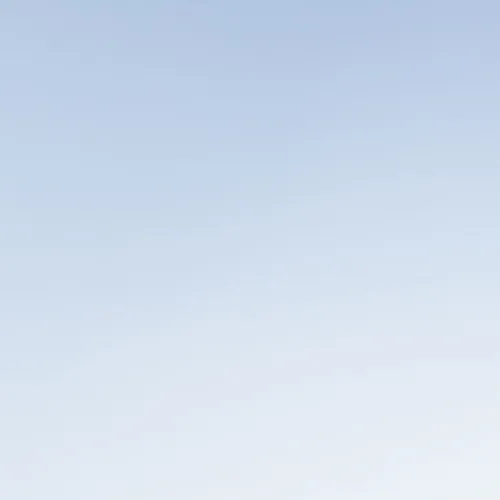 grid_item